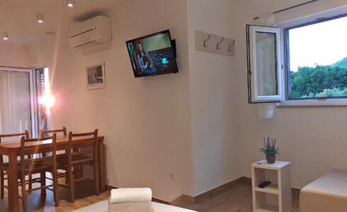 Studio Biokovo 1 (2+1)